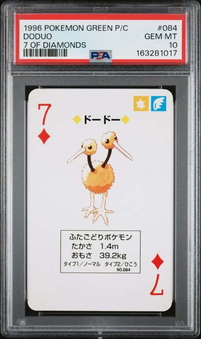 Doduo