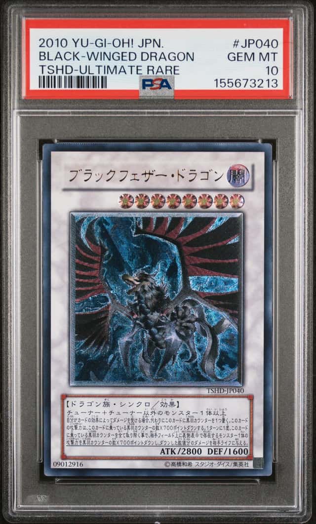Black-Winged Dragon