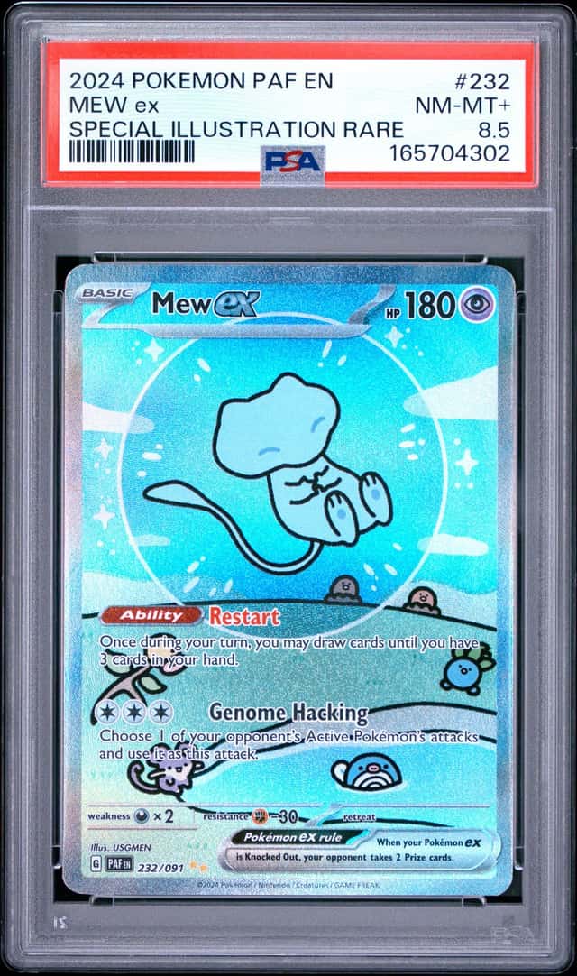 MEW ex