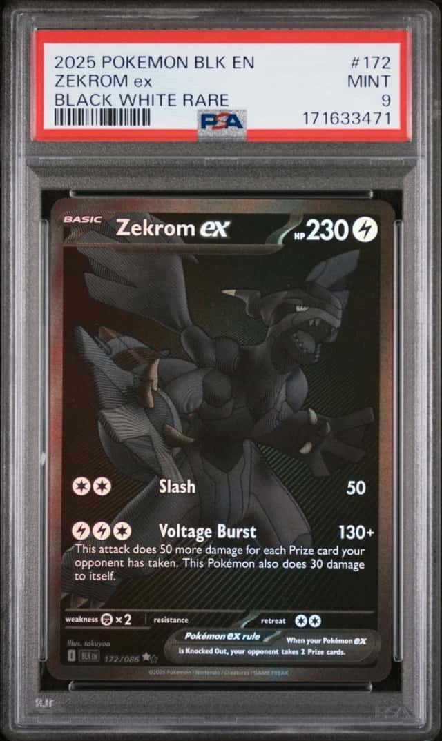 ZEKROM ex