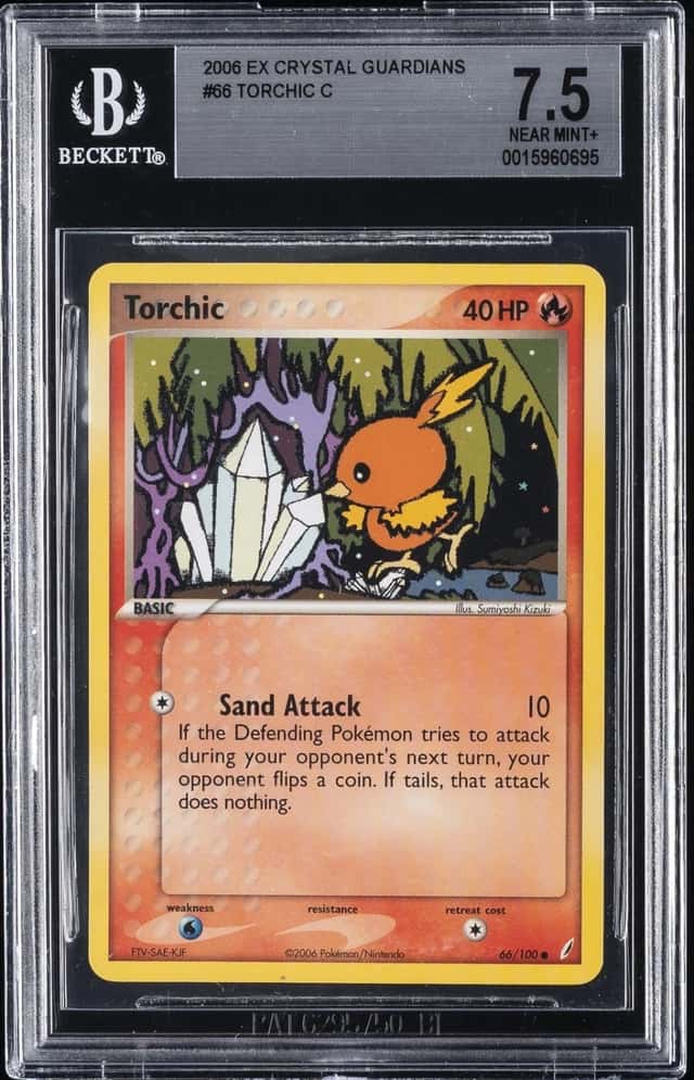 Torchic