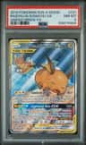 Raichu & Alolan Raichu Gx