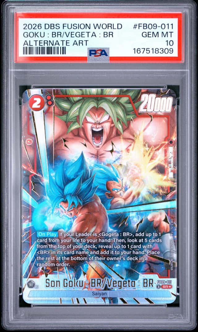 Goku : Br/Vegeta : Br