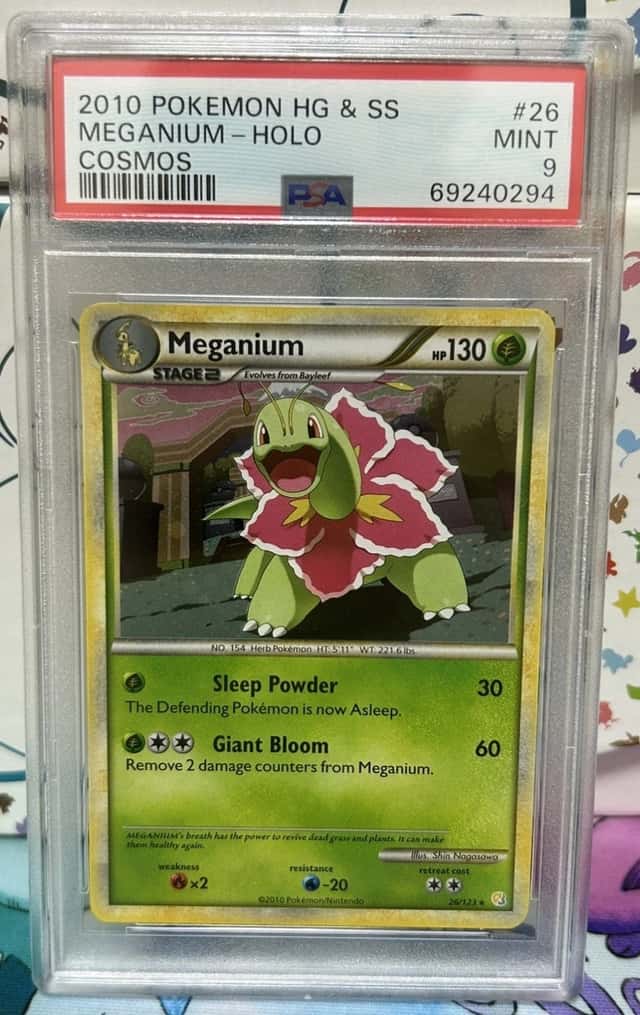 Meganium