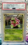 Meganium