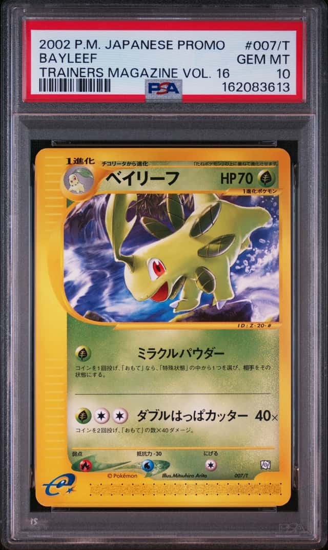 Bayleef