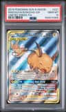 Raichu & Alolan Raichu Gx