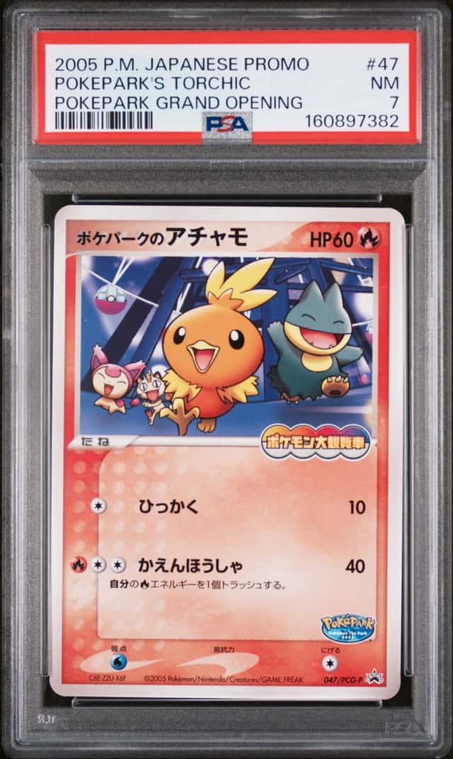 Pokepark's Torchic
