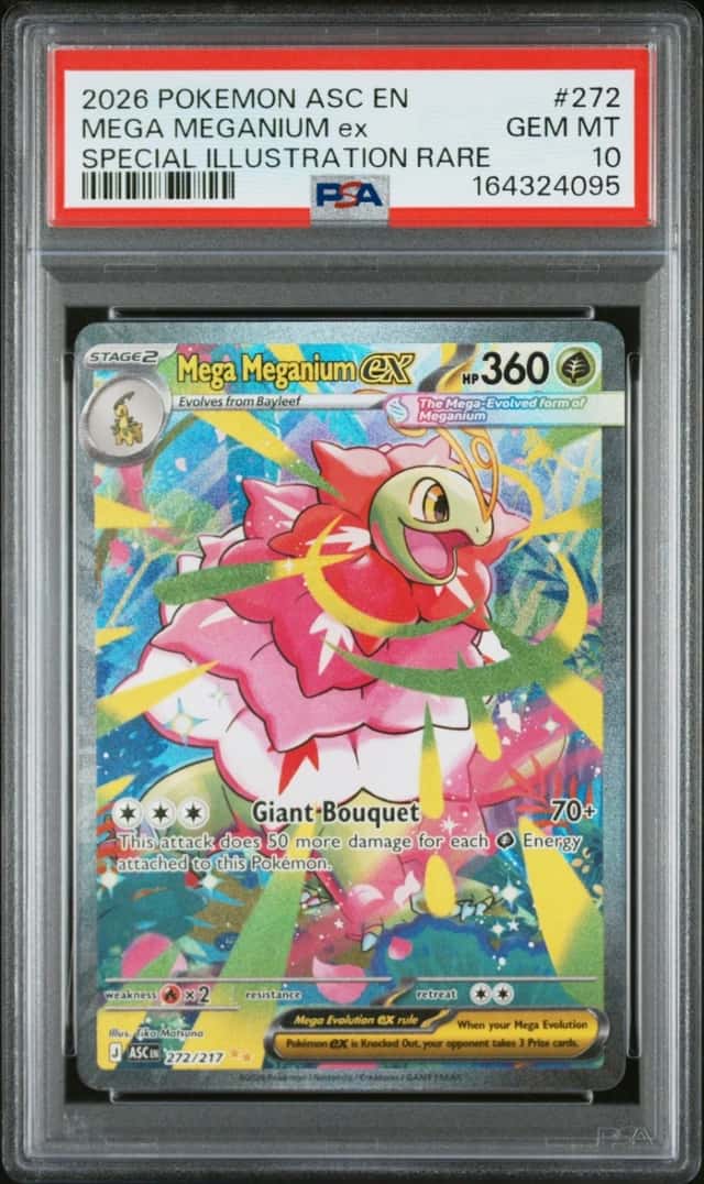 MEGA MEGANIUM ex