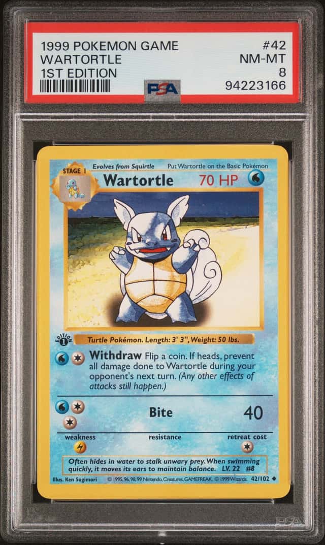 Wartortle