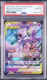 Mewtwo & Mew Gx