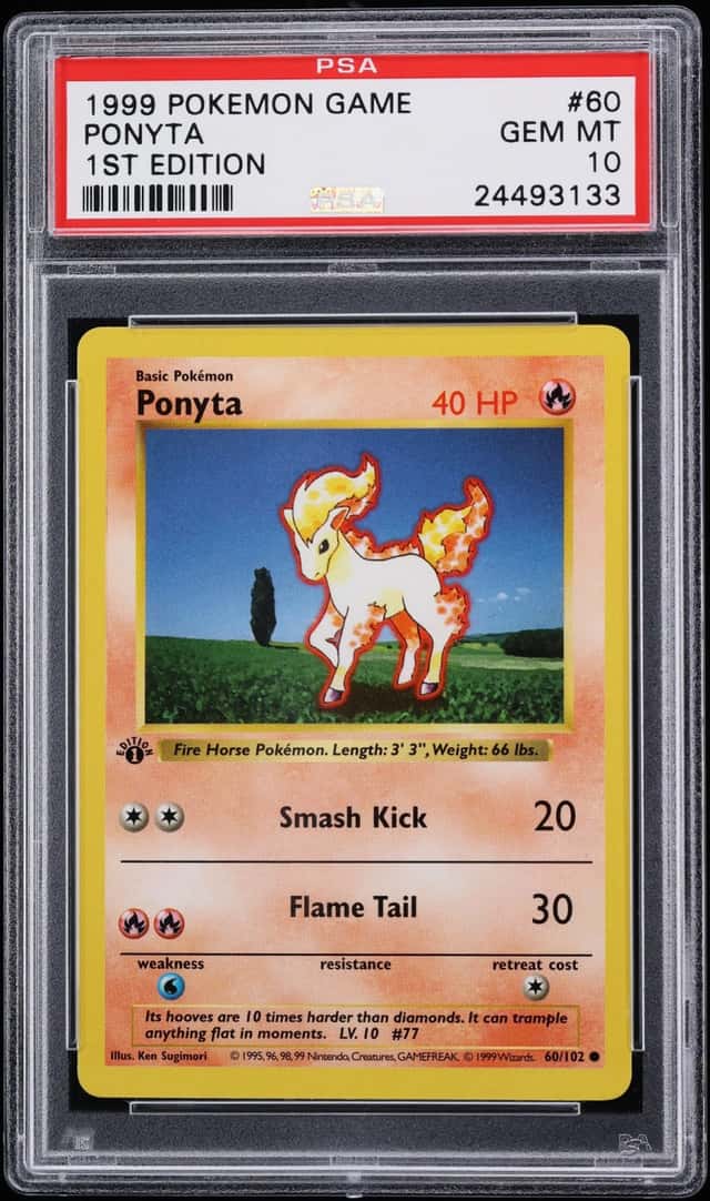 Ponyta