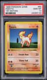 Ponyta