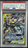 Pikachu & Zekrom Gx