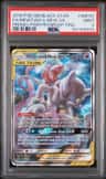 Mewtwo & Mew Gx