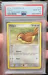 Pidgey