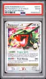 Rayquaza C Lv X