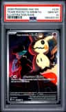 Team Rocket'S Mimikyu