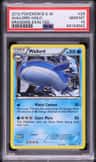Wailord