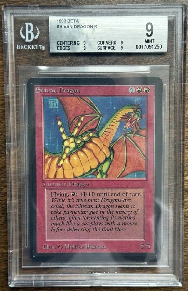 Shivan Dragon