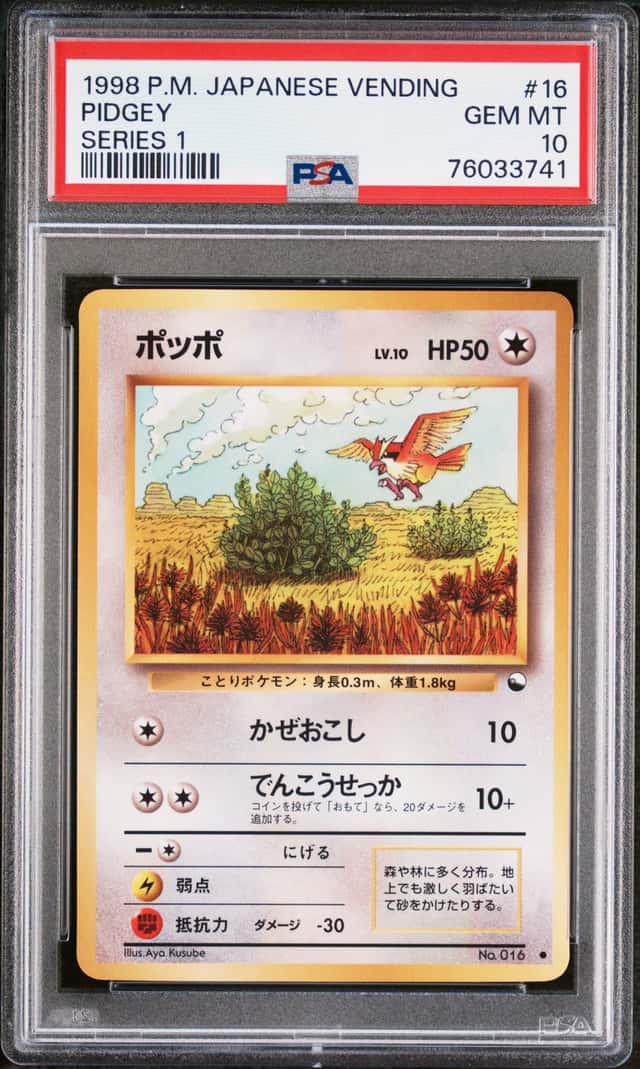 Pidgey