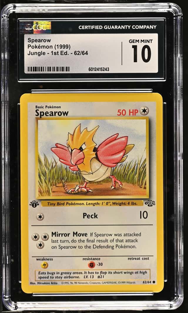 Spearow