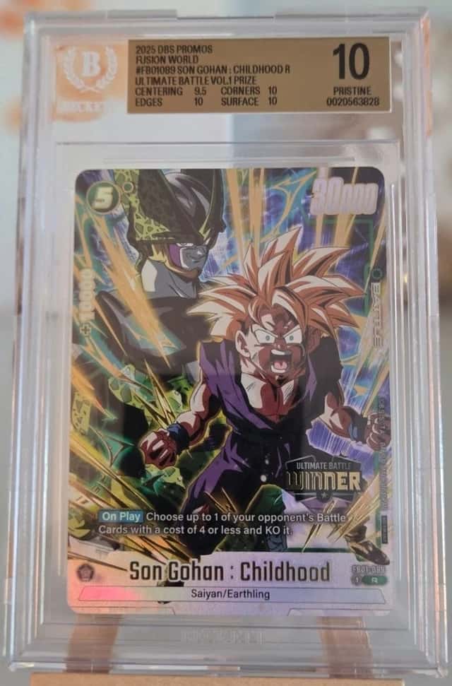 Son Gohan : Childhood R