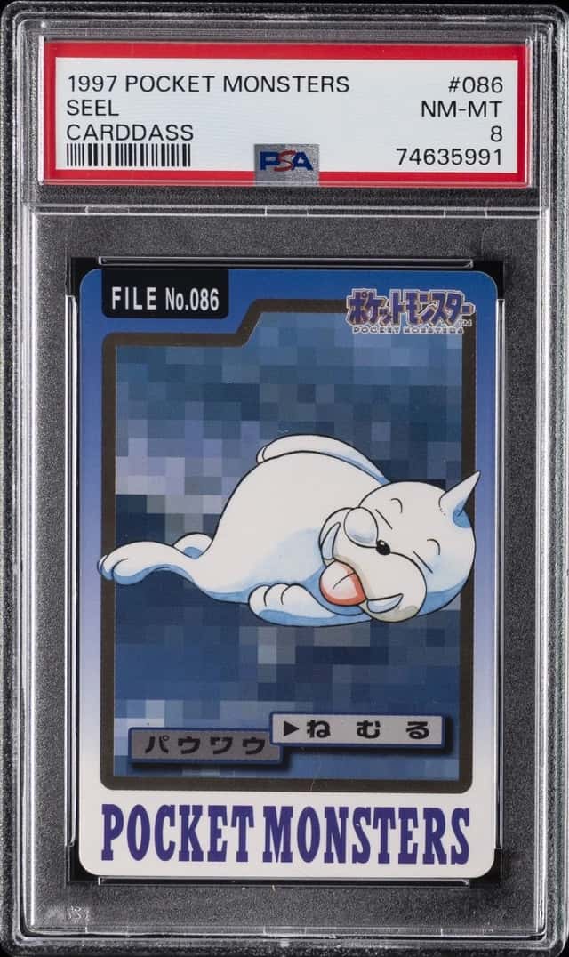 Seel