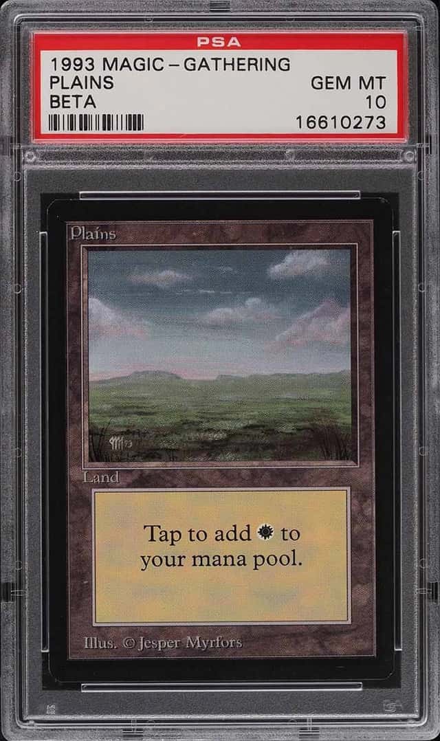 Plains