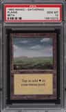 Plains