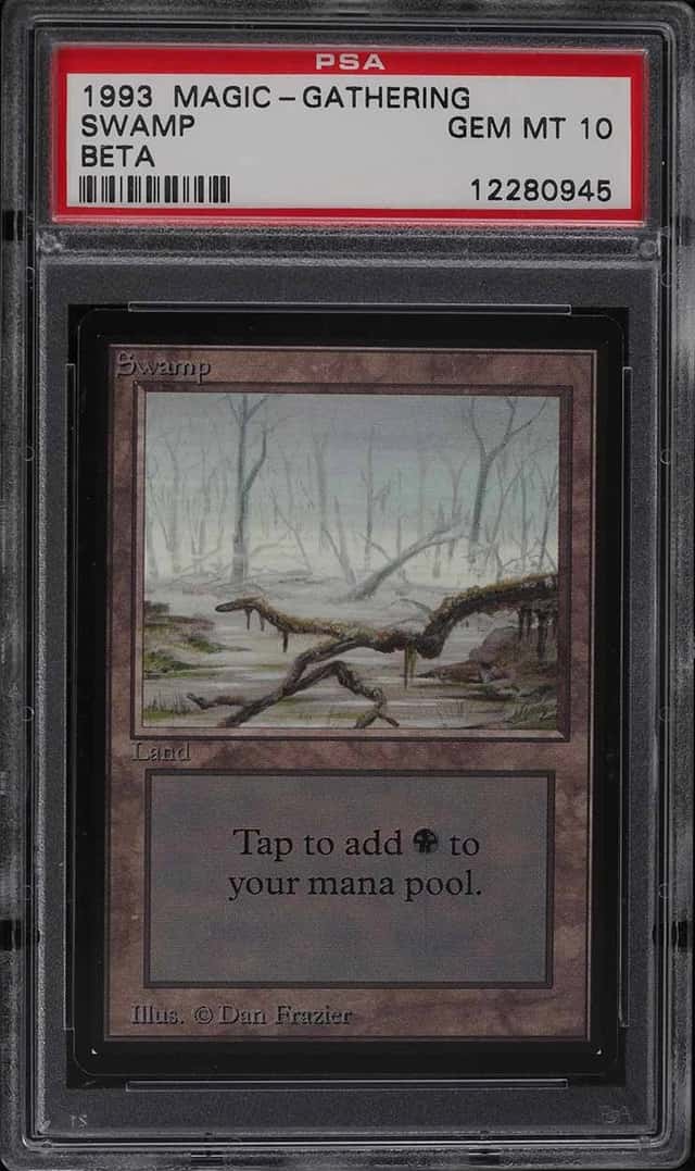 Swamp