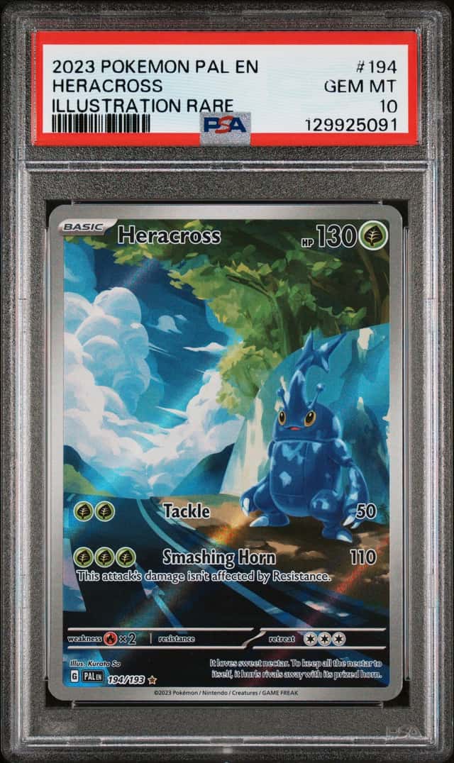Heracross