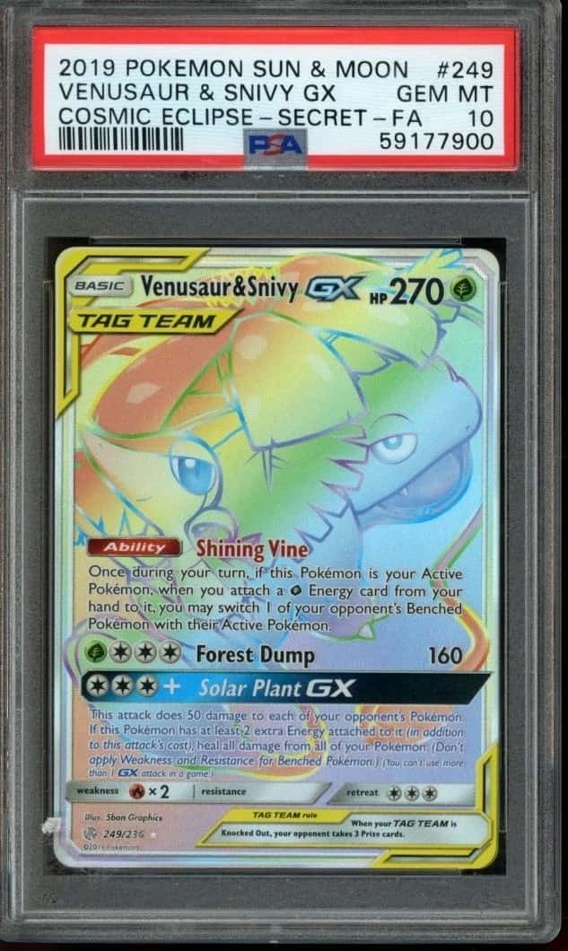 Venusaur & Snivy GX