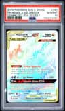 Naganadel & Guzzlord Gx