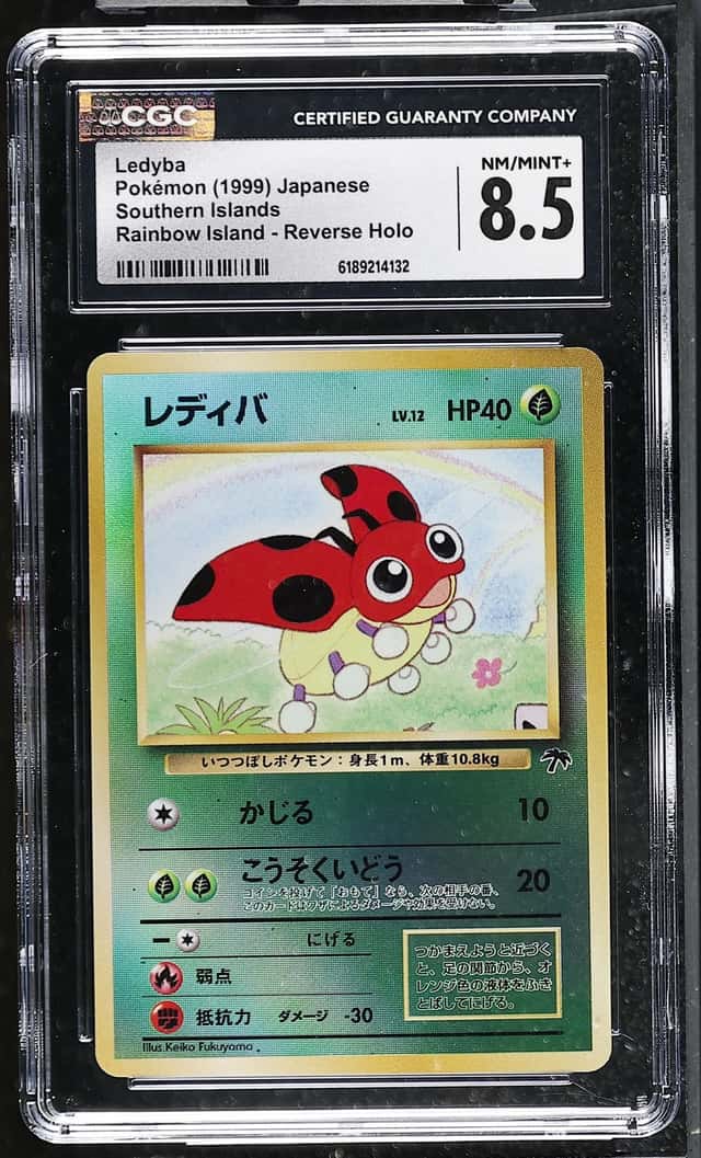 Ledyba