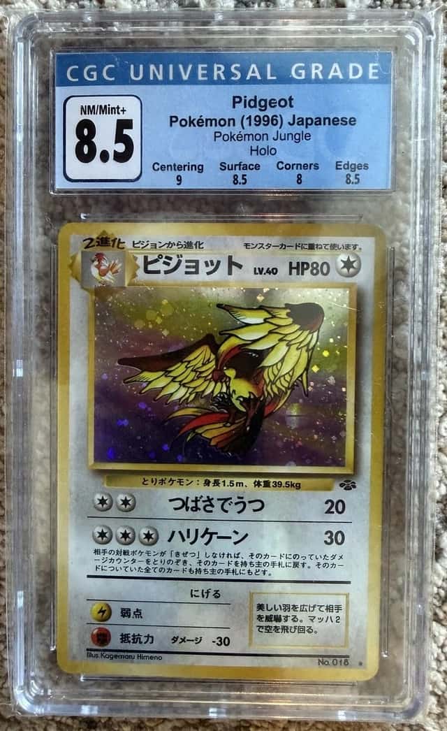 Pidgeot
