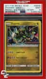 Zygarde