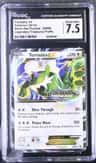 Tornadus Ex