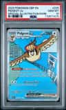 Pidgeot Ex