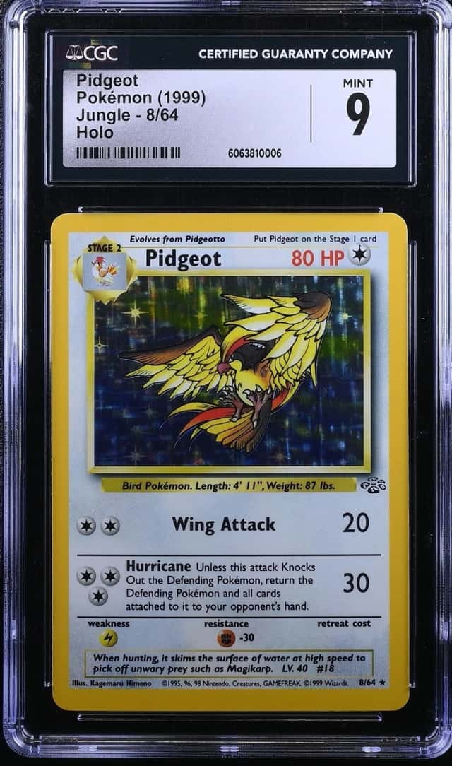 Pidgeot