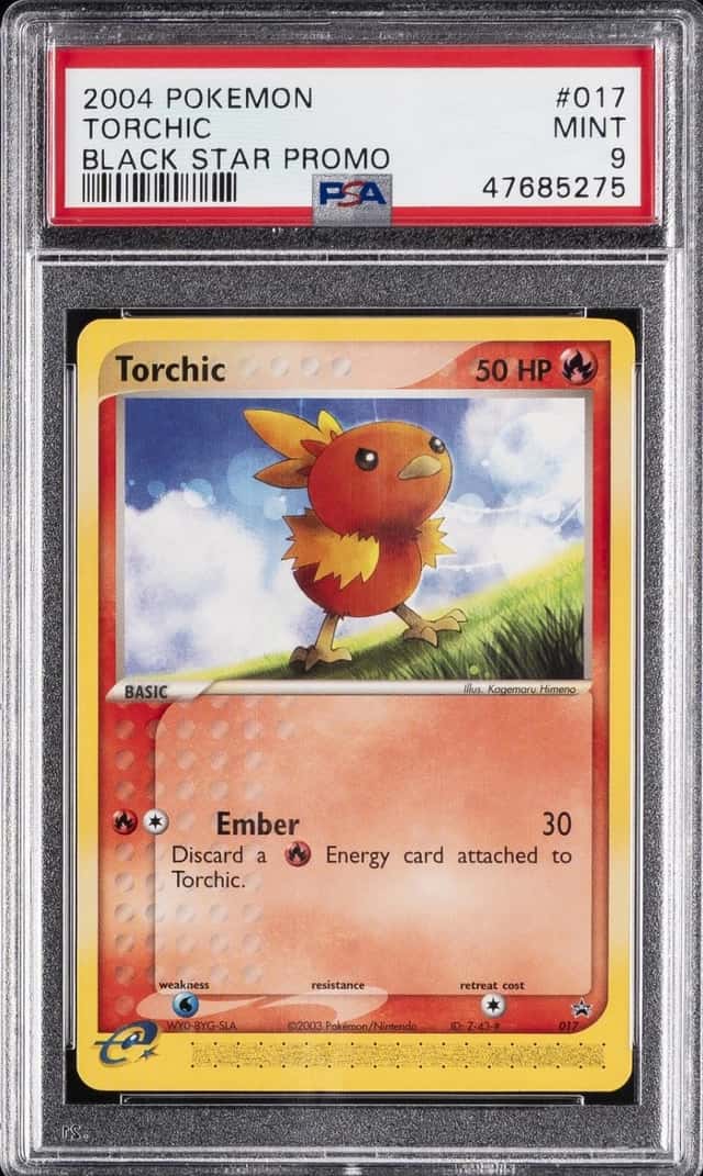 Torchic