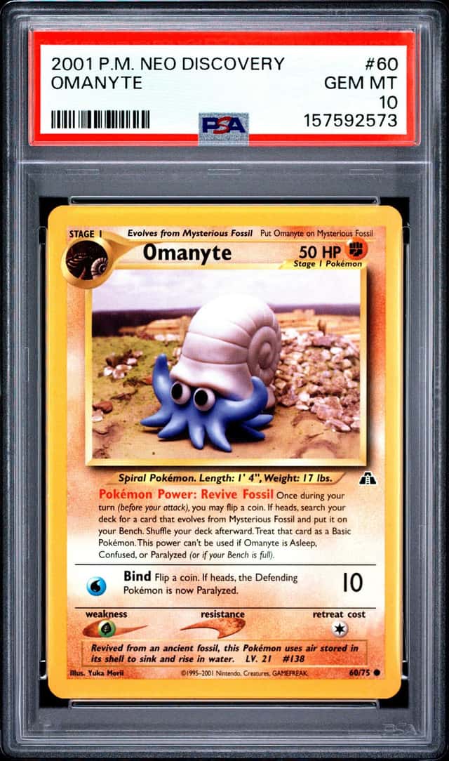 Omanyte