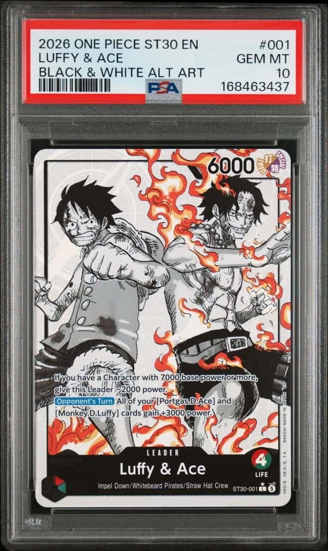 Luffy & Ace