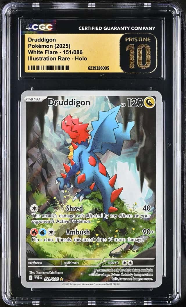 Druddigon