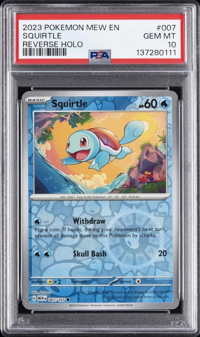 Squirtle