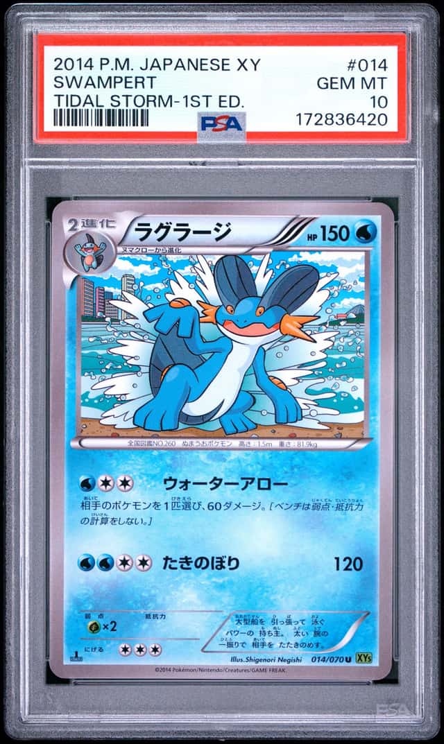 Swampert
