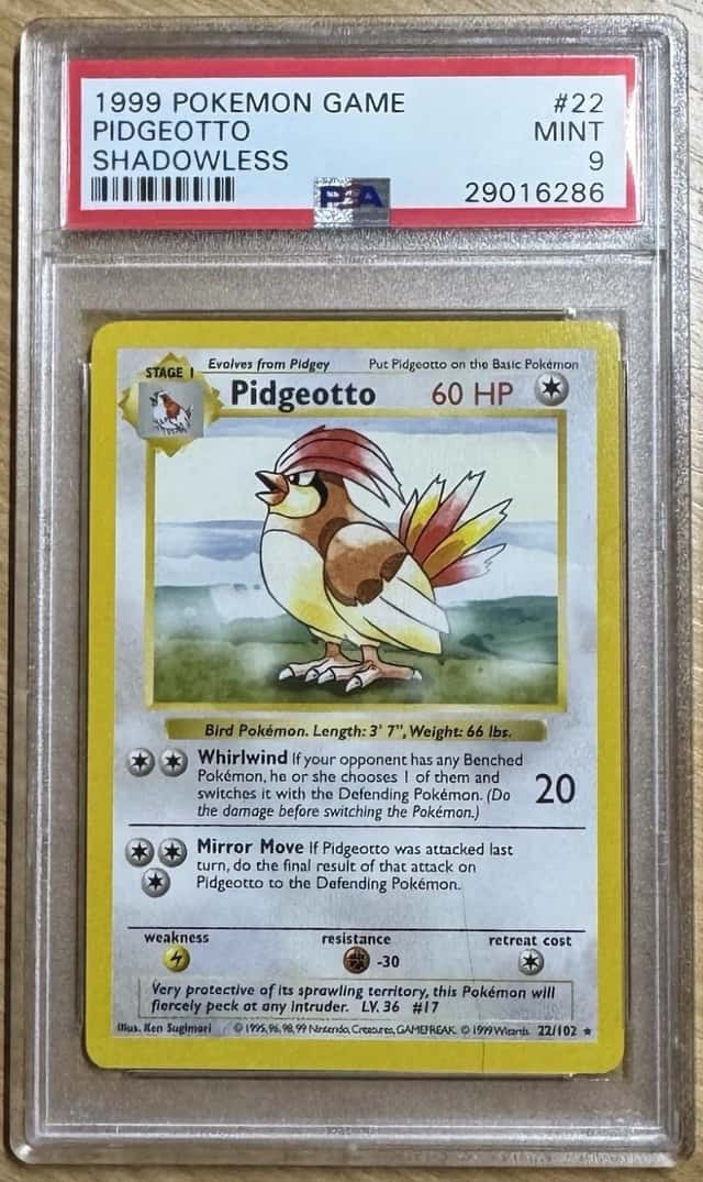 Pidgeotto