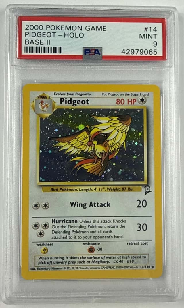Pidgeot