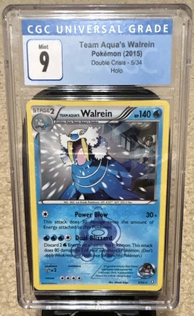 Team Aqua's Walrein