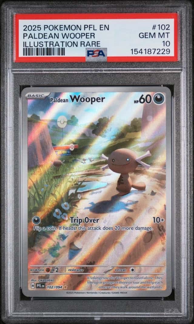 Paldean Wooper